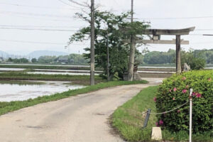 遠足『さんぽと歌』２＜中止＞